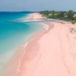 pink-sand-beach-bahamas