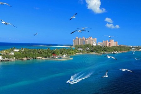 Island-Highlights-Tour-nassau